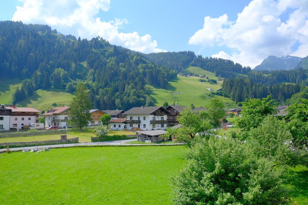 Alpin Penthouse Hollersbach Apartment Hollersbach im Pinzgau Exterior foto